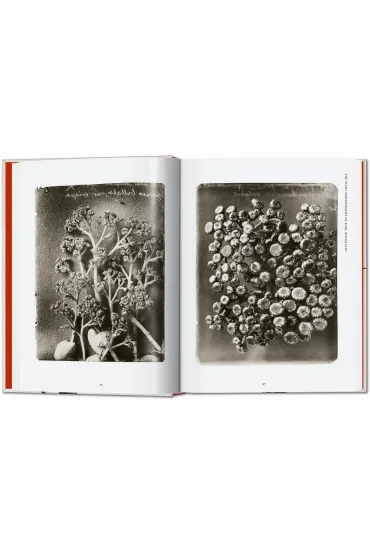 Karl Blossfeldt. The Complete Published Work. 40th Ed. wer. angielska - Hans Christian Adam