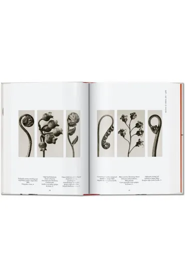 Karl Blossfeldt. The Complete Published Work. 40th Ed. wer. angielska - Hans Christian Adam