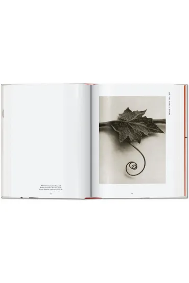 Karl Blossfeldt. The Complete Published Work. 40th Ed. wer. angielska - Hans Christian Adam