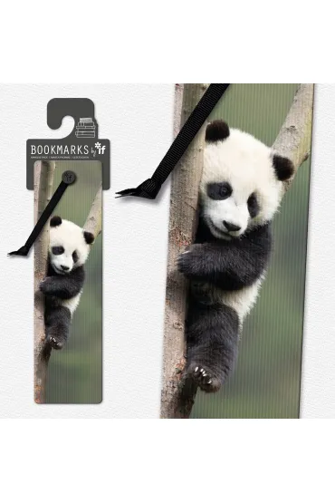 If Zak�adka 3D - Panda
