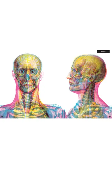 Gabinet anatomii - Kate Davies