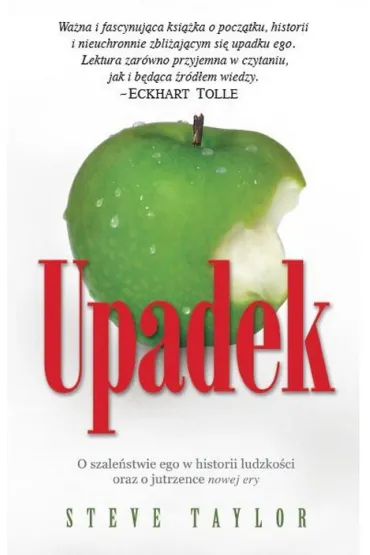 Upadek - Steve Taylor
