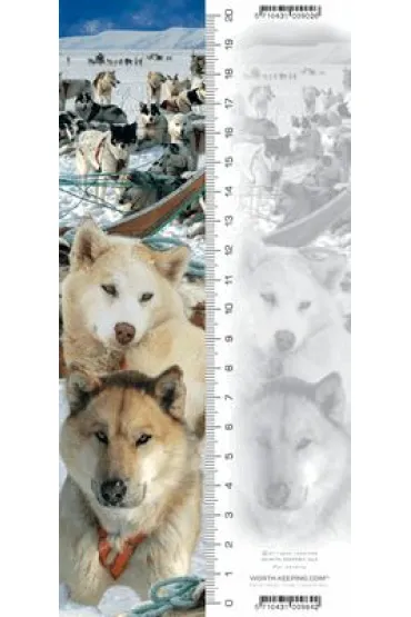Worth Keeping Zak�adka 3D Husky