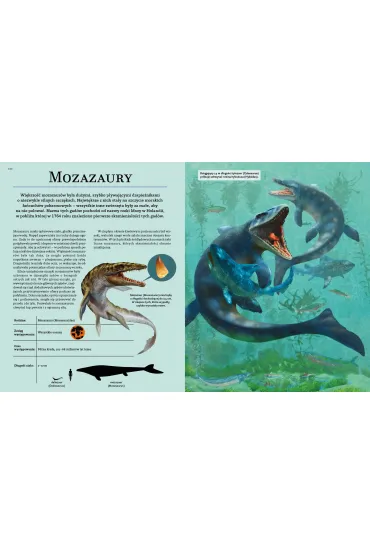 NAUKA rz�dzi! Dinozaury. Prehistoryczni giganci - Martin Claudia