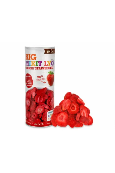 MixIt Dua chrupica liofilizowana Truskawka 100 g
