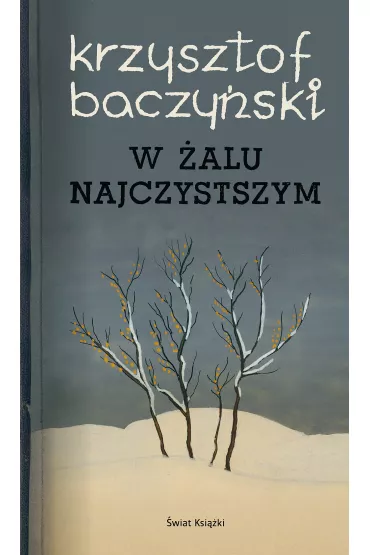 W �alu najczystszym - Krzysztof Kamil Baczy�ski