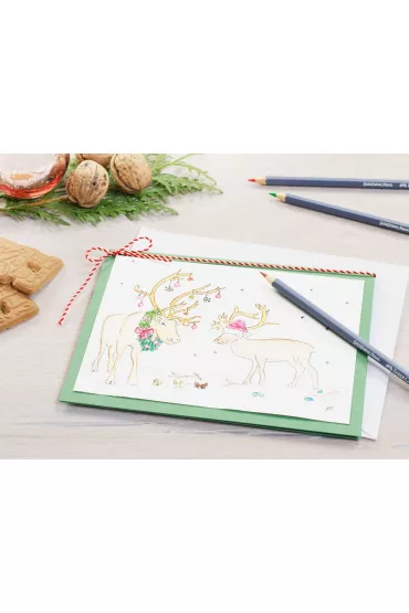 Faber-Castell Kredki Goldfaber Aqua + 2 o��wki + p�dzel 38 kolor�w