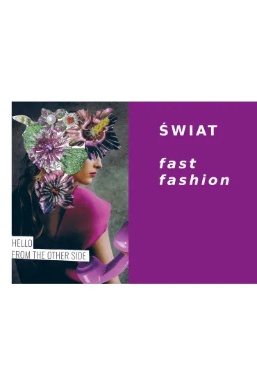 Odpowiedzialna moda. Guilt-free. Przewodnik po slow fashion - Katarzyna  Zaj�czkowska