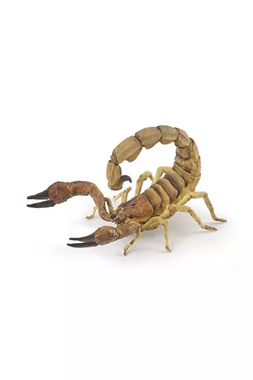 Skorpion