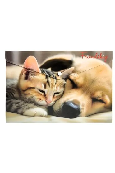 Panta Plast Koperta A4 PP na nap� z nadrukiem Friendship