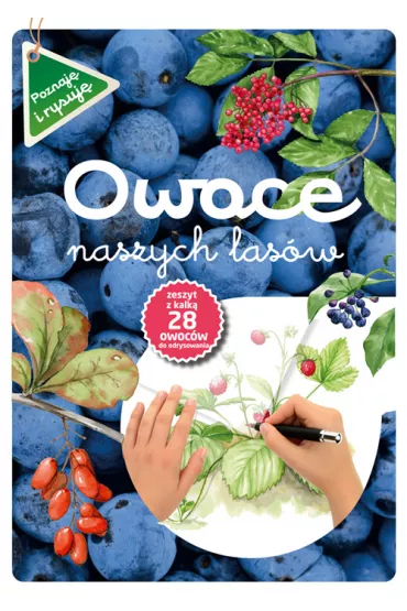 Owoce naszych las�w - Katarzyna Kopiec-Sekieta