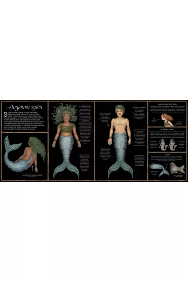 Historia naturalna syren - Emily Hawkins