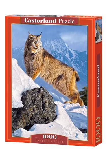 Puzzle 1000 el. Austere Ascent Castorland