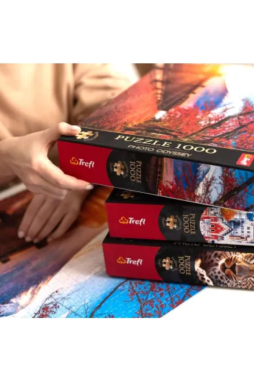 Puzzle 1000 el. Premium Plus Quality Photo Odyssey: Manhattan, Nowy Jork Trefl