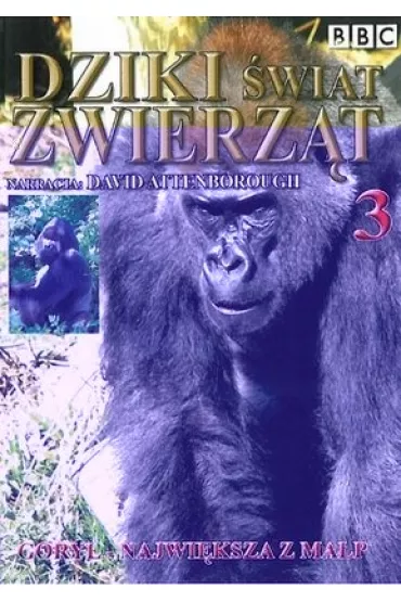 Goryl: Najwi�ksza z ma�p