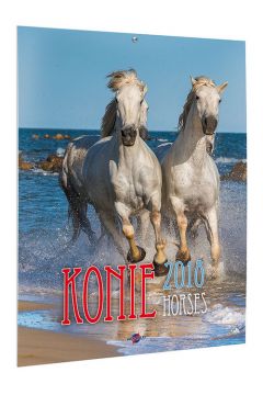 Kalendarz 2018 KSM-5 Konie
