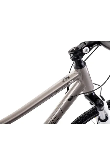 Romet Rower crossowy ORKAN 4 D 2024 szampa�sko-czarno-srebrny 20 L