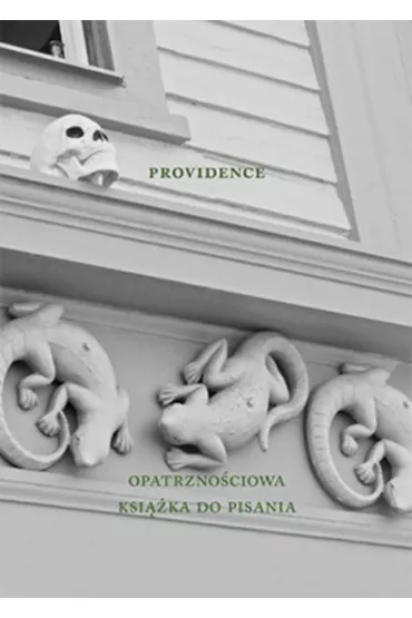 Austeria Providence. Opatrzno�ciowa ksi��ka do pisania 158 kartek - Agnieszka Taborska