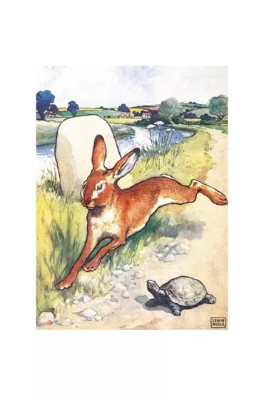 Museums & Galleries Karnet B6 z kopert� The Hare and the Tortoise