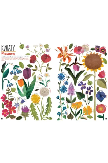 Tak wiele rzeczy. So Many Things - Maya  Hanisch