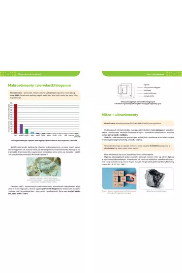 Biologia. Repetytorium. Liceum i technikum