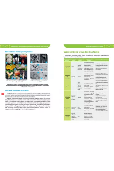 Biologia. Repetytorium. Liceum i technikum