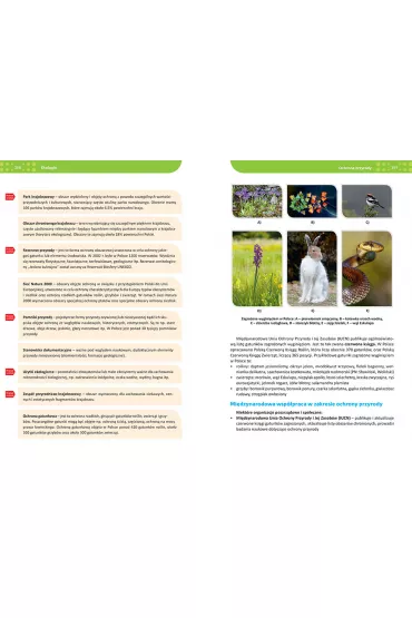 Biologia. Repetytorium. Liceum i technikum