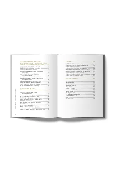 Jedzenie, �e ogie�. Niebanalna uczta w plenerze. Grill, ognisko, kocio�ek, ruszt - Patrycja  Walter-Zag�rska