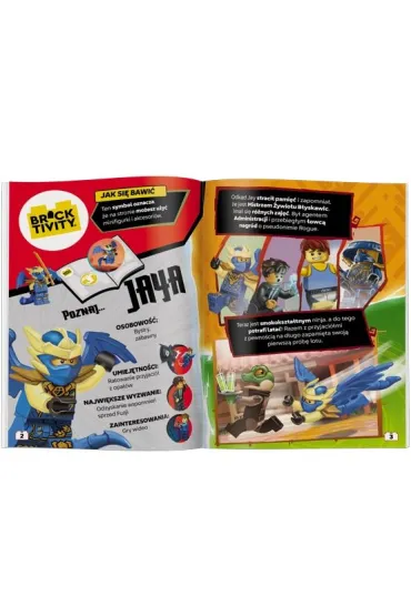 Lego Ninjago Smocze moce LNC-6752