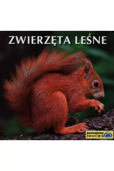 Poznajemy zwierz�ta - Zwierz�ta le�ne - Sztywniaczek