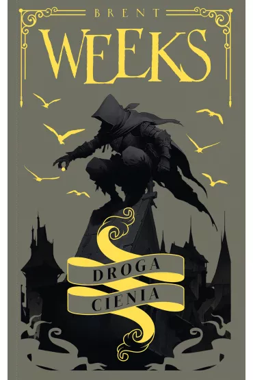 eBook Droga Cienia. Anio� Nocy. Tom 1 mobi epub - Brent Weeks