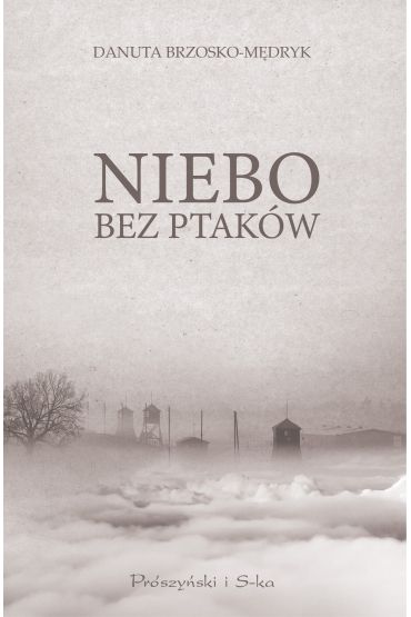 Niebo bez ptaków