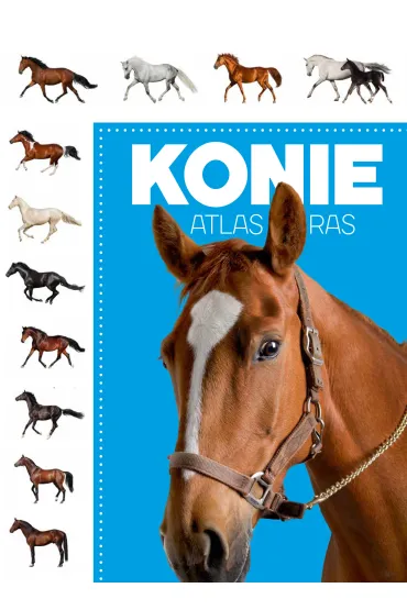 Atlas ras. Konie - Katarzyna Piechocka