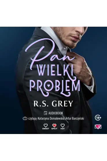 Audiobook Pan Wielki Problem mp3 - R. S. Grey