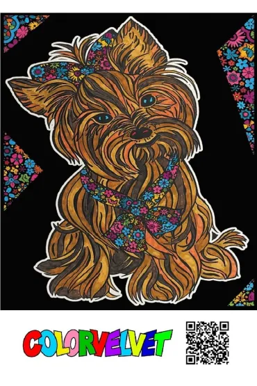Kolorowanka Welwetowa 47x35 cm Yorkshire Terrier