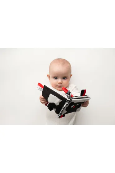 Ksi��eczka Kto to? Co to? Hencz Toys