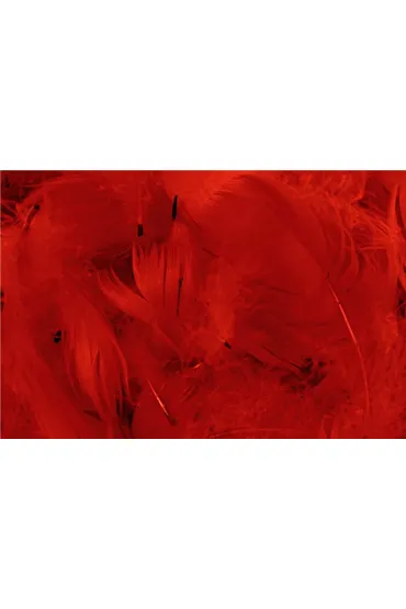 Pi�rka w torebce foliowej 15g