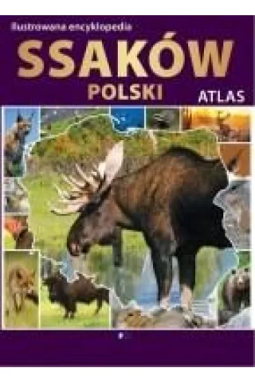 Ilustrowana encyklopedia ssak�w polski