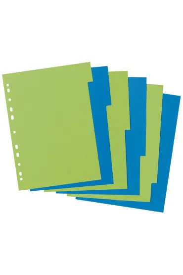 Herlitz Przek�adki A4 kartonowe 6 cz. Greenline