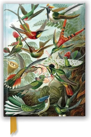 Flame Tree Notatnik A5 Kolibry Ernst Haeckel linia