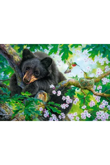 Puzzle 500 el. Wish I Could Fly Castorland