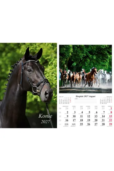 Kalendarz 2027 �cienny 7-k Konie