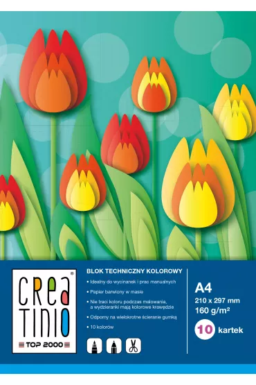 Top-2000 Blok techniczny Creatinio kolorowy A4 160g