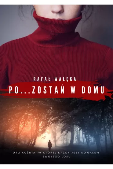 eBook Pozosta� w domu pdf mobi epub - Rafa� Wa��ka