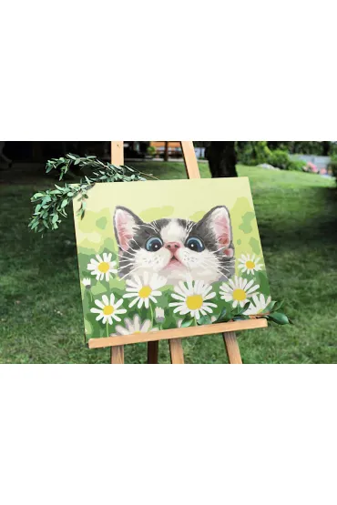Twoje Hobby Malowanie po numerach - Kot w stokrotkach 40x50cm