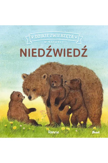 Nied�wied�. Dzikie zwierz�ta w naturze - Renne Renne
