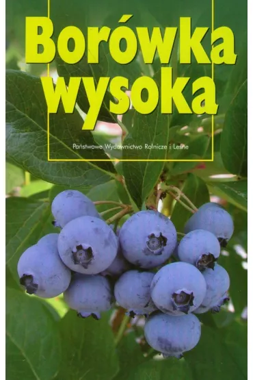 Bor�wka wysoka - Kazimierz Pliszka