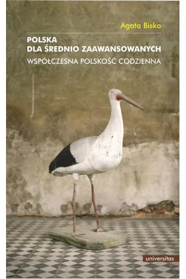 Polska dla �rednio zaawansowanych. Wsp�czesna polsko�� codzienna - Agata Bisko