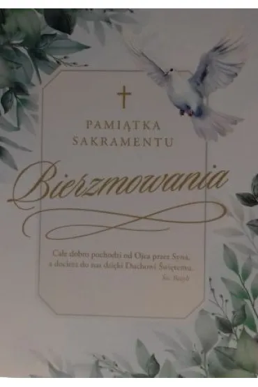 Pan Dragon Karnet B6 Bierzmowanie - li�cie i go��b K.B6-2015