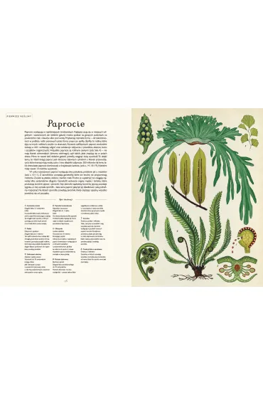Botanicum. Muzeum Ro�lin - Kathy Willis